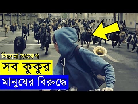 White God 2014 Movie explanation In Bangla Movie review In Bangla | Random Video Channel