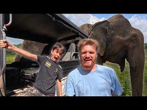 Elephants So Close We Could Hear Them Breathe (Sri Lanka Safari)