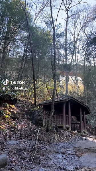 Exploring Spring Hikes in Kentucky's Natural Bridge