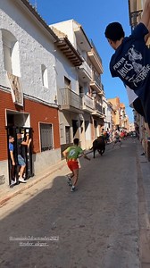 Salida........Ganadería Jose Vte Machancose...............Puçol ( Sant Joan 2023)....Comissió 7 de Setembre 2023. Autor: Javi Rivera / @javirivera88 | Peña Taurina "Vaquillas 88"