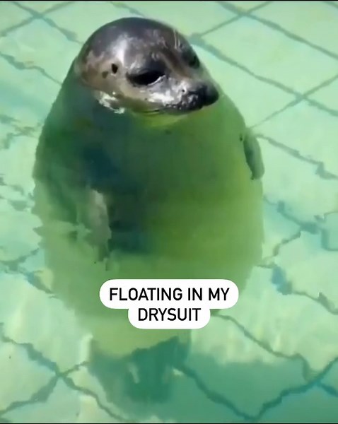 Funny Scuba Diving Moments with Viking Drysuit