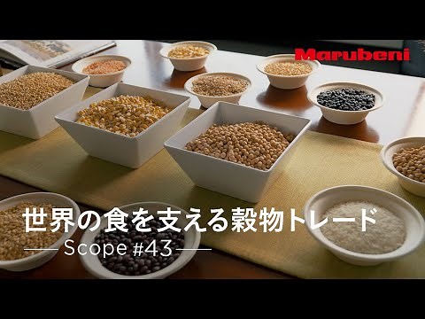 丸紅｜Scope #43 | 穀物事業