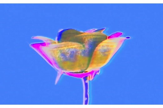 Is Kindness Contagious?