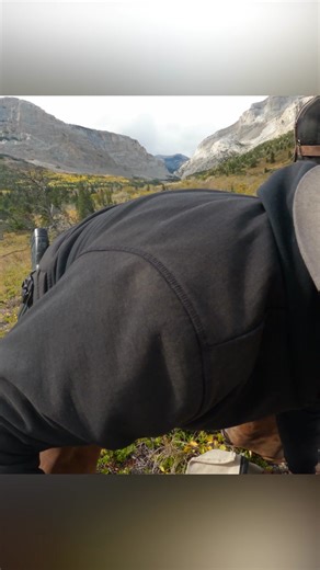 Bear Territory Looks Peaceful… Until You’re Alone in It 😬🐻 #grizzlybear #bearcountry #grizzlyencounter #outdooradventures #horsetrailriding #cowboyadventures #falladventures #backcountryride #montanamountains #bearaware | Life in the West