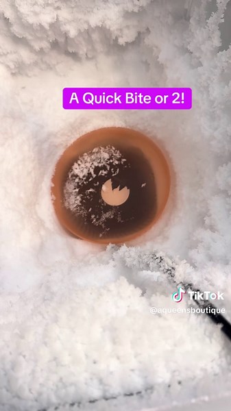 Managing Cravings at Work: Quick Snack Ideas