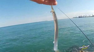 111K views · 694 reactions | Tutorial aguglie con la bombarda | Fishing Passion & Feeder | Facebook