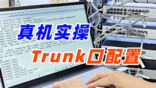 真机实操：手把手教你trunk口配置，网络小白必看！