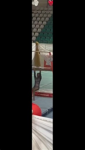 Mastering Gymnastics Techniques for All Levels