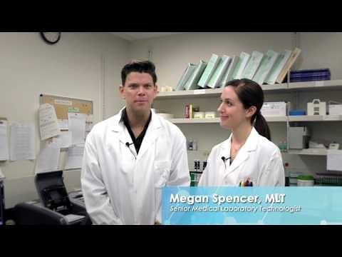 In The Lab - Protein Electrophoresis