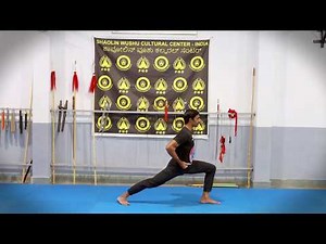 7 Basic Stances Wushu