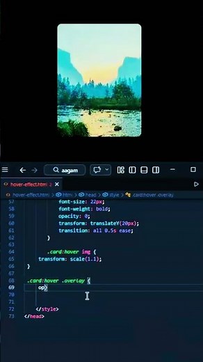 CSS Card Hover Effect 🔥 | Smooth Animation Using HTML CSS