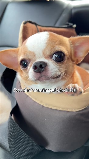 Mastering Service Skills: The Art of Smiling