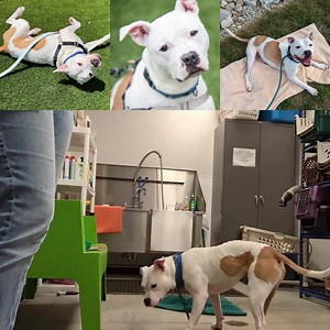 82 reactions · 3 comments | Toby Flenderson arrived at SICSA March of...