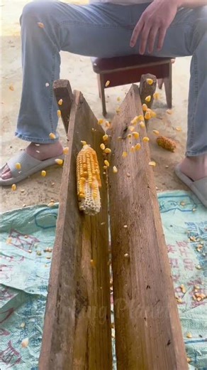 POWERFUL Rhythmic Striking: The Art Of Rural Corn PROCESSING 🦾