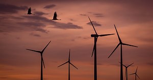 This simple fix will make wind turbines more bird-friendly