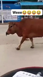 5.9K views · 47 reactions | Weeee | Ka Awesome 2.0 | Facebook