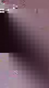 Four rare Amur tiger cubs have been born at Longleat Safari Park 🐯🐯🐯🐯 | Somerset Live