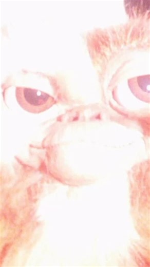 49K views · 5.9K reactions | Billy’s Dad is an expert now in the three Gremlin rules. . . . #80s #horror #movietowatch | Gremlins Museum | Facebook