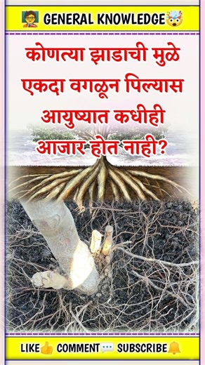 🔥 25 जबरदस्त GK प्रश्न | 99% लोक चुकतात! | Marathi GK Quiz📚