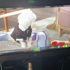 9.2K views · 985 reactions | And just like that, I’m a stage mom. So proud of Liam who was on set with me today 梁 | Courtney Khondabi QVC | Facebook