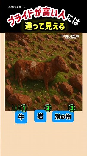 It looks different to people with high pride