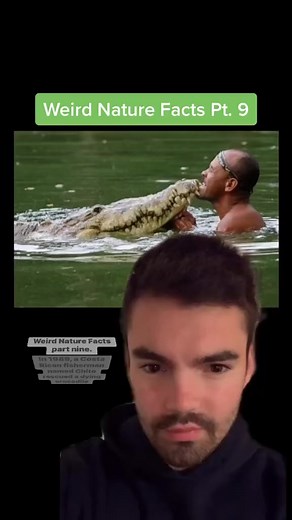 The insane true story of Chito and Pocho 🐊 #nature #history | Morbid Facts