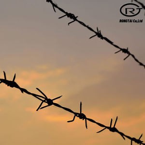 [Hot Item] China 6 Gauge Razor Barbed Wire
