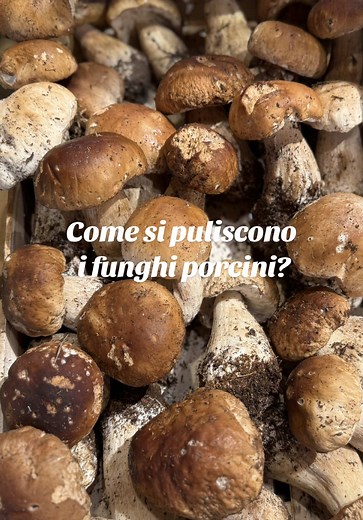 Come pulire i funghi porcini in modo semplice