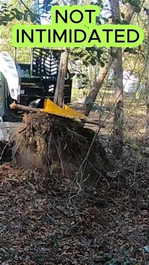 DANUSER INTIMIDATOR TREE PULLER #tree #landscape #skidsteer #skidsteerattachments