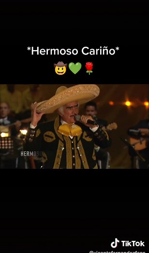 Hermoso Cariño Vicente Fernández Karaoke con Letra