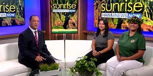 New city program, Food Pantry & market at skyline stations