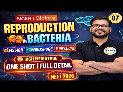 Reproduction in Bacteria: Binary Fission vs Endospore vs Conjugation (NEET)