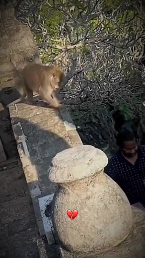 #prank#pranks#funny#funnyvideos#fyp | Griffth Digital