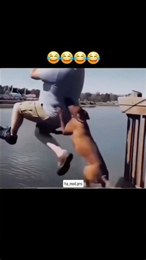Wait for last 😂 #viral #tranding #video