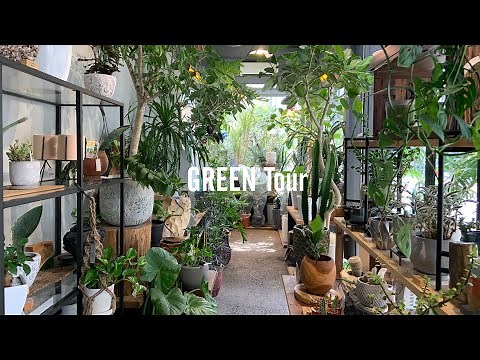 【観葉植物】大阪の北堀江にあるガーデニングショップ | and leaf 今里園芸大阪営業所 | 園芸店巡り