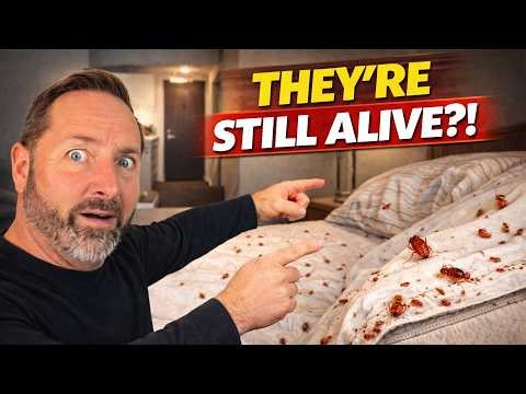 Why Your Apartment Bed Bug Treatment FAILED 😳 (Fix That Actually Works)