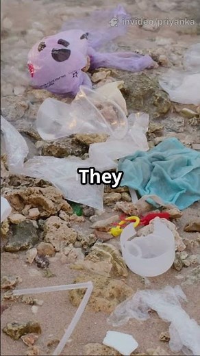 Refuse Single-Use Plastic Straws 🥤 | Easy Eco-Friendly Switch 🌿”