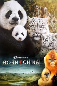 Born in China (2017) - Videos