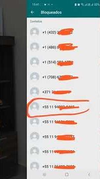 como excluir um contato bloqueado no WhatsApp