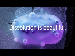 Dissolution is beautiful.