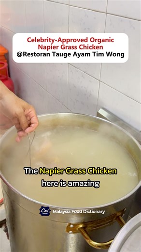 【Celebrities Love This Organic Ipoh Kampung Chicken! 🌿🐔】 📍 Restoran Tauge Ayam Tim Wong — Ipoh Craving authentic and healthier Ipoh bean sprout chicken? This is the locals’ top pick! 🤤 With over 30 years of culinary experience, the owner insists on using premium ingredients — including fully certified organic “Ma Cao Chicken” & “Ma Cao Eggs” 🐓🥚 Tender, juicy chicken with smooth skin and zero hormones — a truly guilt-free feast!👌 The spacious and comfy environment also makes it perfect for