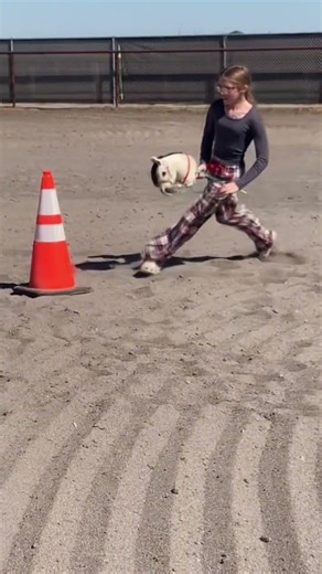 i really want to host a barrel race for hh🥹🤐