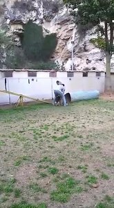 protection | Global Dog Training