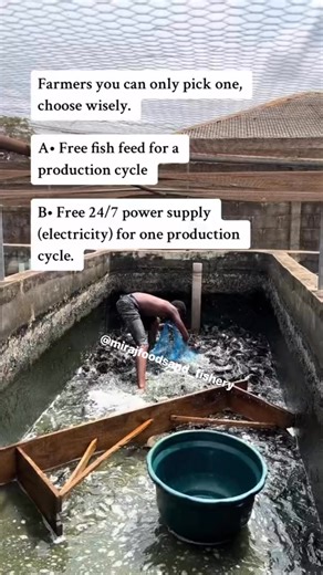 34K views · 137 reactions | Let’s see what farmers are up to… #urbanfarming #fishfarm #agriculture #aquaculture #fishfarming #catfishfarming #grateful #farming #entrepreneurship #fblifestyle | Mirajfoodsand_fishery | Facebook