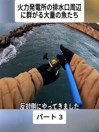 火力発電所での釣り体験