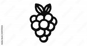 Grapes outline icon animation footage/video. Hand drawn like symbol animated with motion graphic, can be used as loop item, has alpha channel and it's at 4K video resolution.