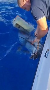 As if we didn't need another reminder to keep all our gear with us and dispose of it correctly. The Alvey Community is the most considerate in Australia but we can always do more to ensure the water remains free from fishing gear when we spot some that someone else has left behind. 📷 @underwaterstuffs | Alvey Reels Australia