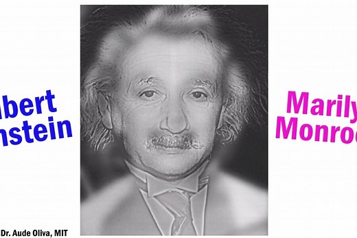 Einstein or Marilyn? How this optical illusion hides two faces in one portrait