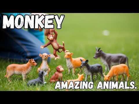 Monkey | Monkey facts for Kids | Learn About Monkeys