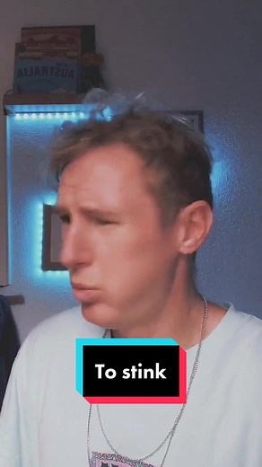 Understanding the Meaning of 'Stink' in English